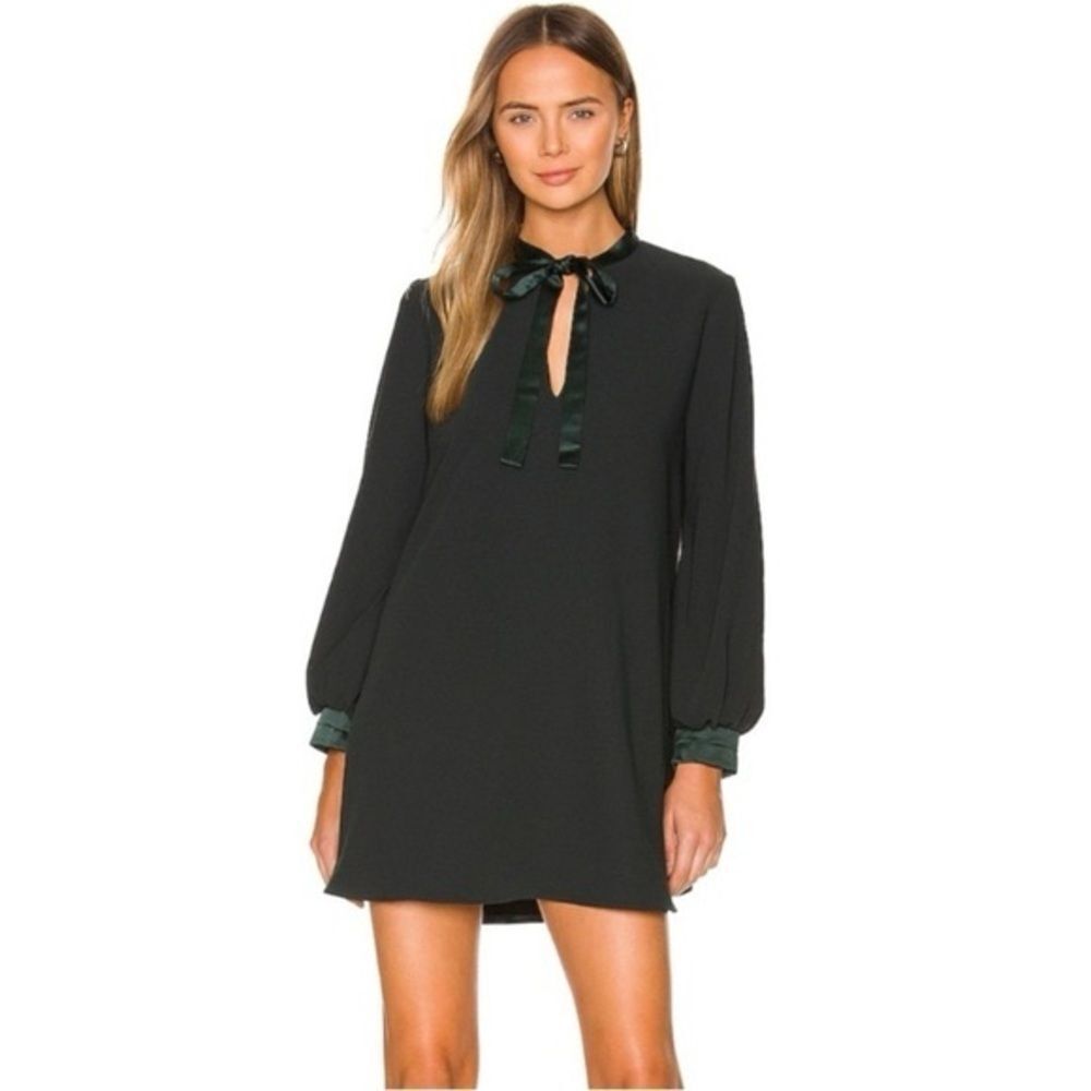 Amanda Uprichard Louie Silk Long Sleeve Mini dress-Black